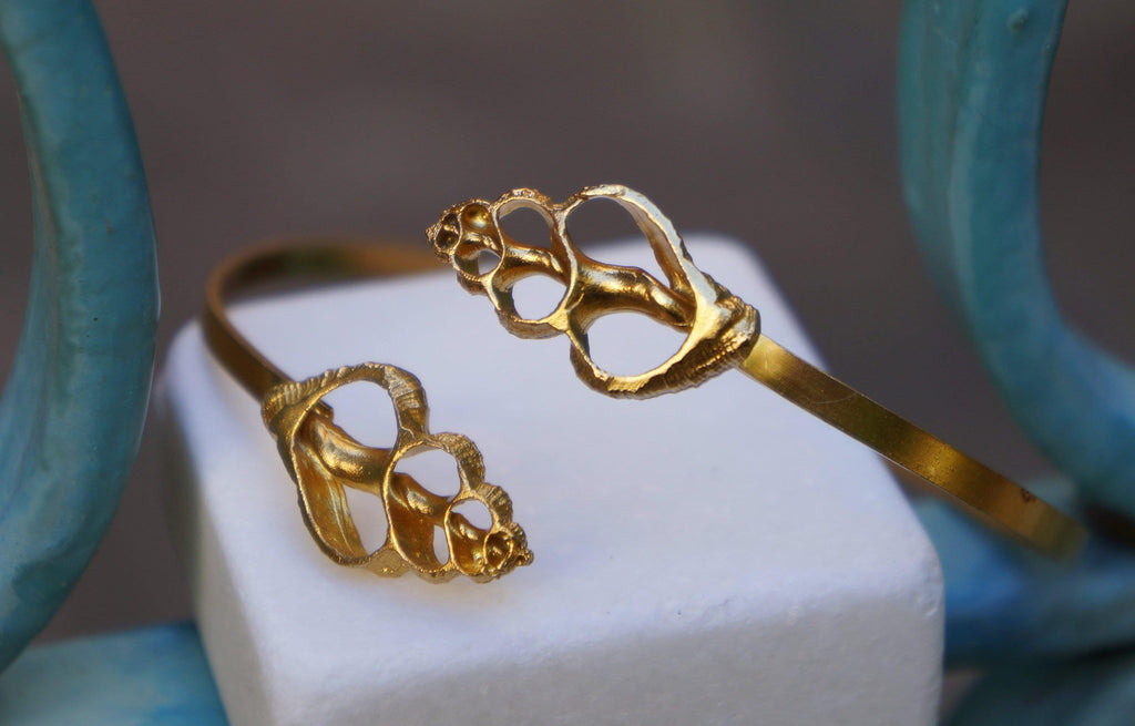 Nature-Inspired Sea Shell Cuff Bracelet, Silver and Gold (Adjustable)-1